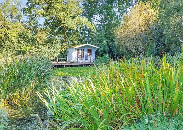 Hébergement de vacances Hedgehogs Hideaway - Uk45296 *