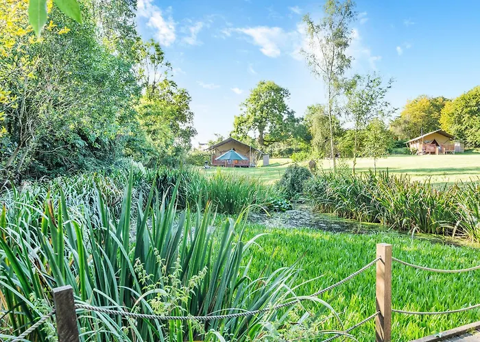 Hedgehogs Hideaway - Uk45296 *